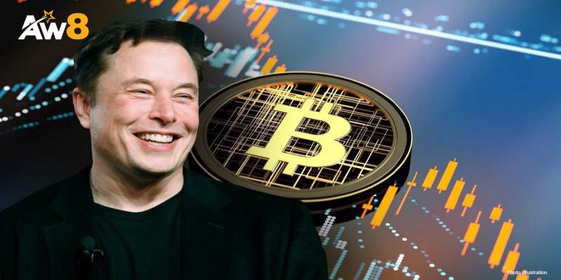 Elon Musk có tác động không nhỏ đến giá trị tiền số