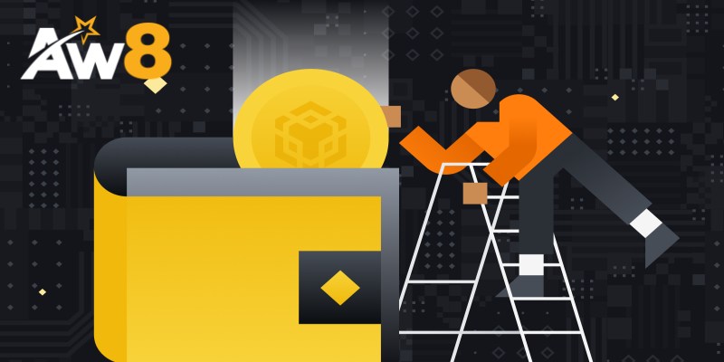 Ví Binance Chain là gì