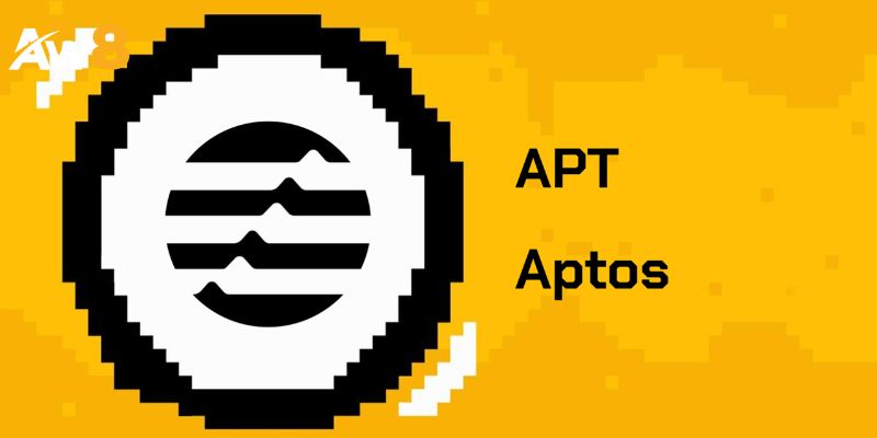 Hệ Sinh Thái Và Cộng Đồng Aptos